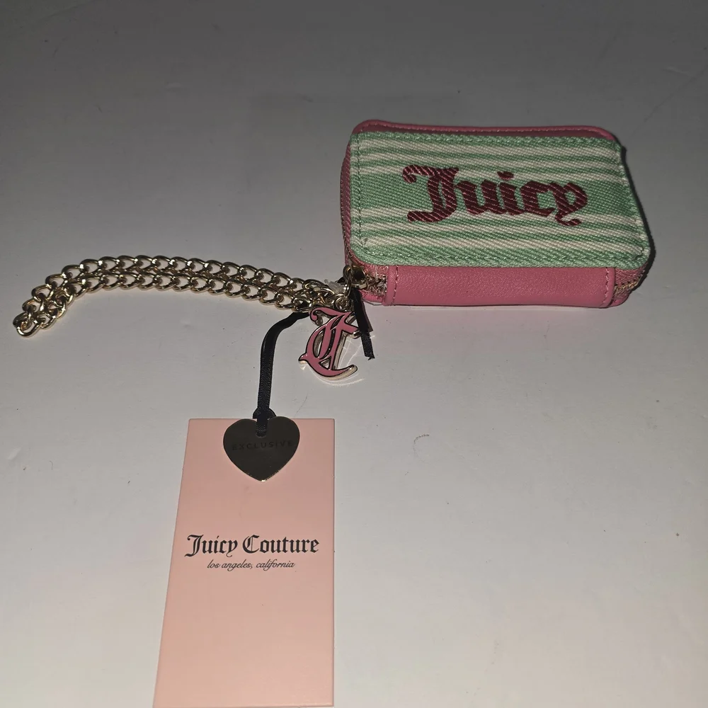 Juicy Couture Pink & Mint Green Mini Zip Wallet with Gold Chain Charm